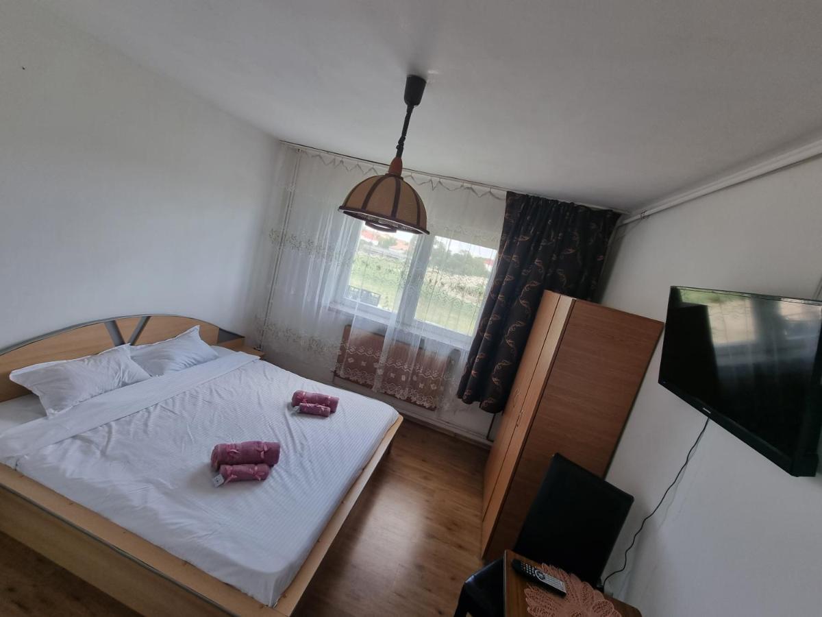 Golden Studio Lägenhet Sibiu Exteriör bild